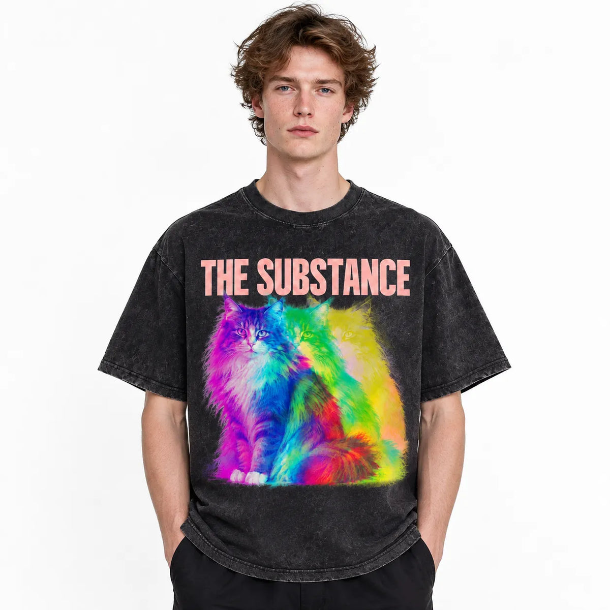 LAWLESSROW The Substance Rainbow Echo Cat Vintage Acid Wash Tee