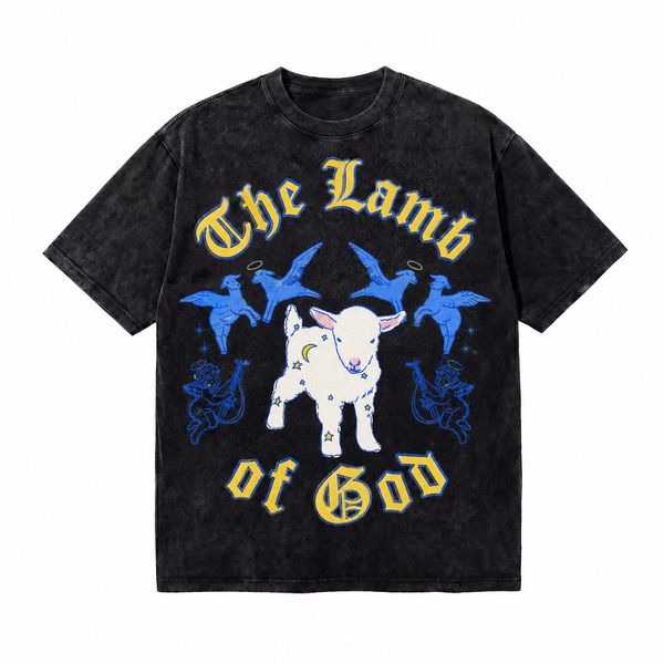 LAWLESSROW The Lamb Of God Tee  Vintage Washed Streetwear