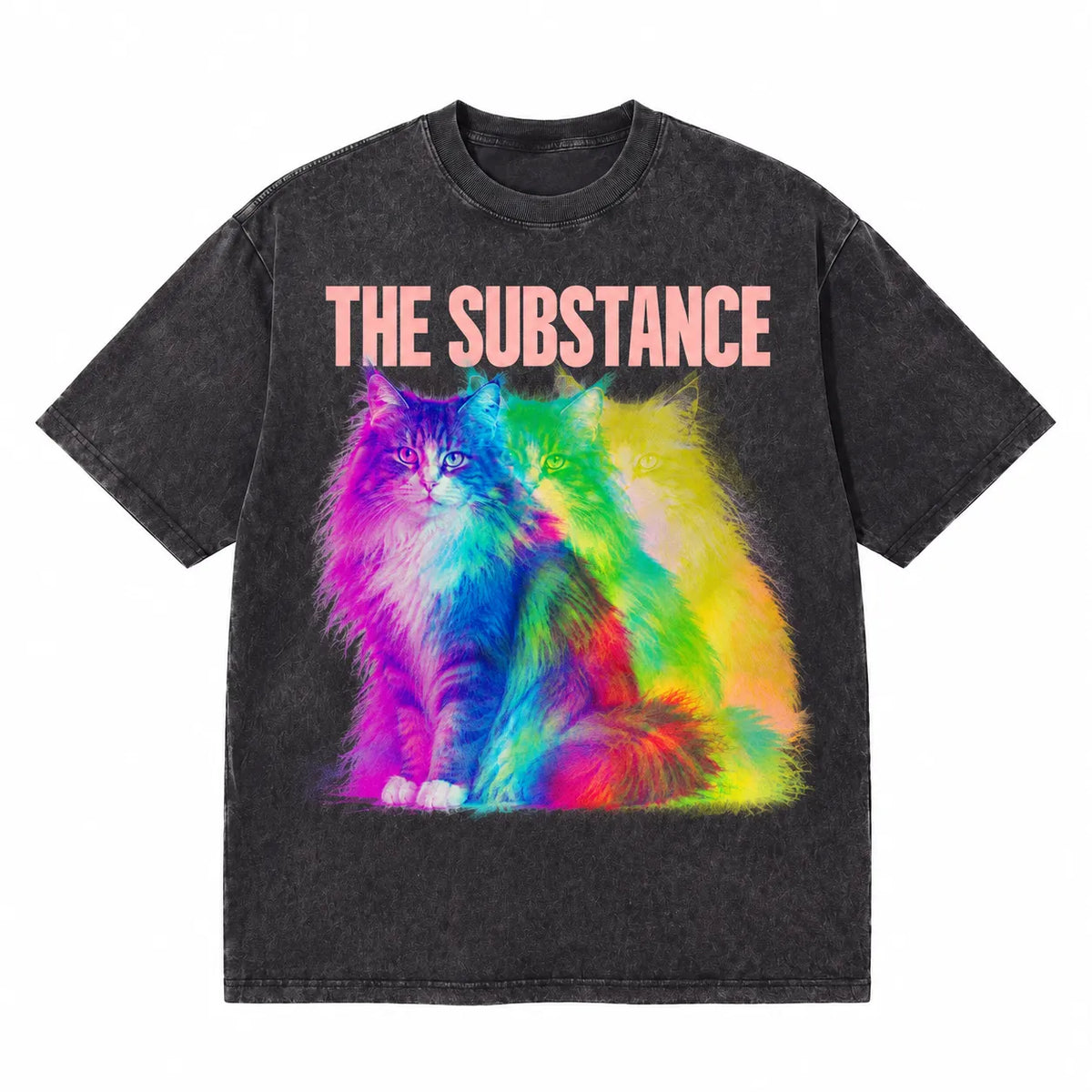LAWLESSROW The Substance Rainbow Echo Cat Vintage Acid Wash Tee